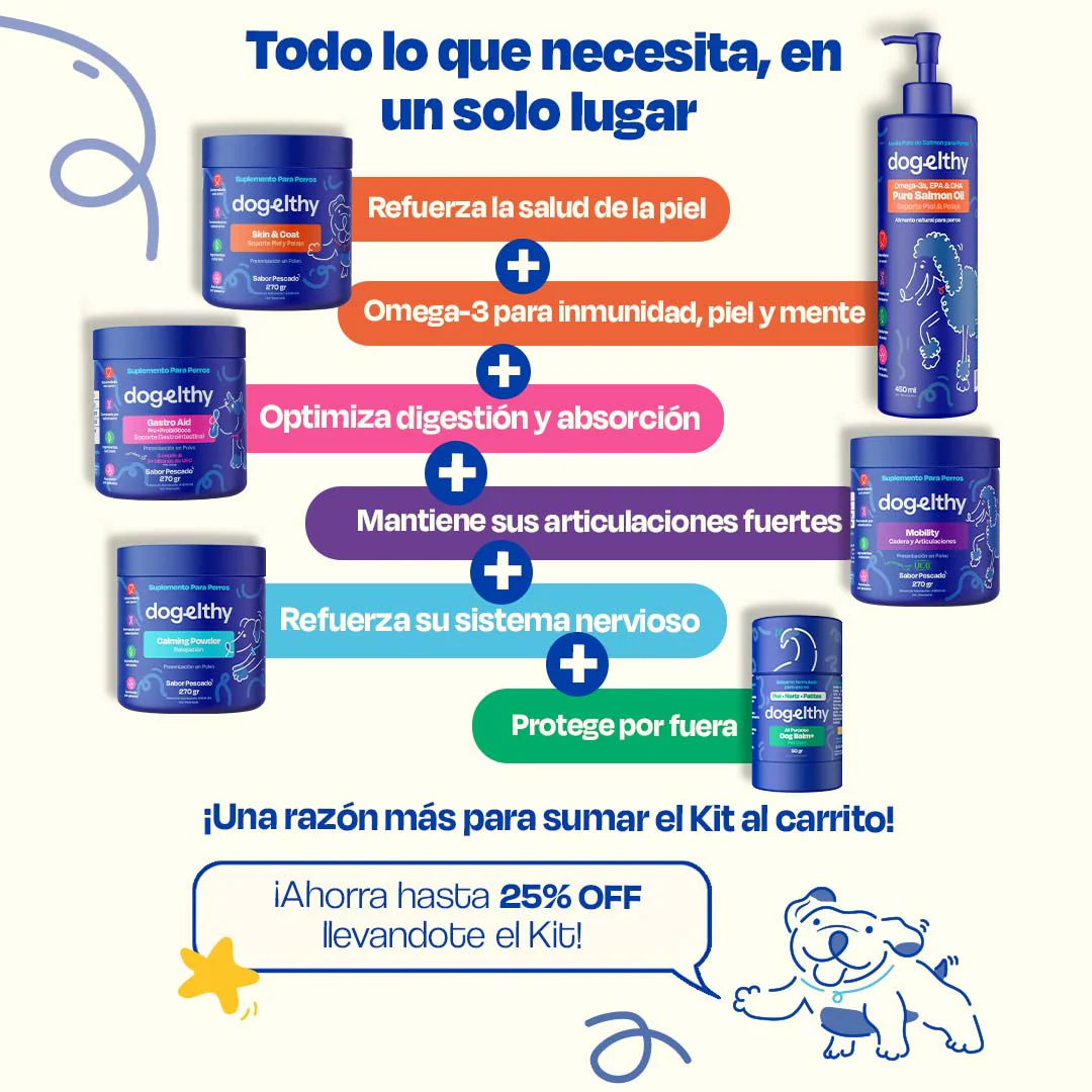Kit del Perro Sano - Ultimate Wellness Kit - Image 9