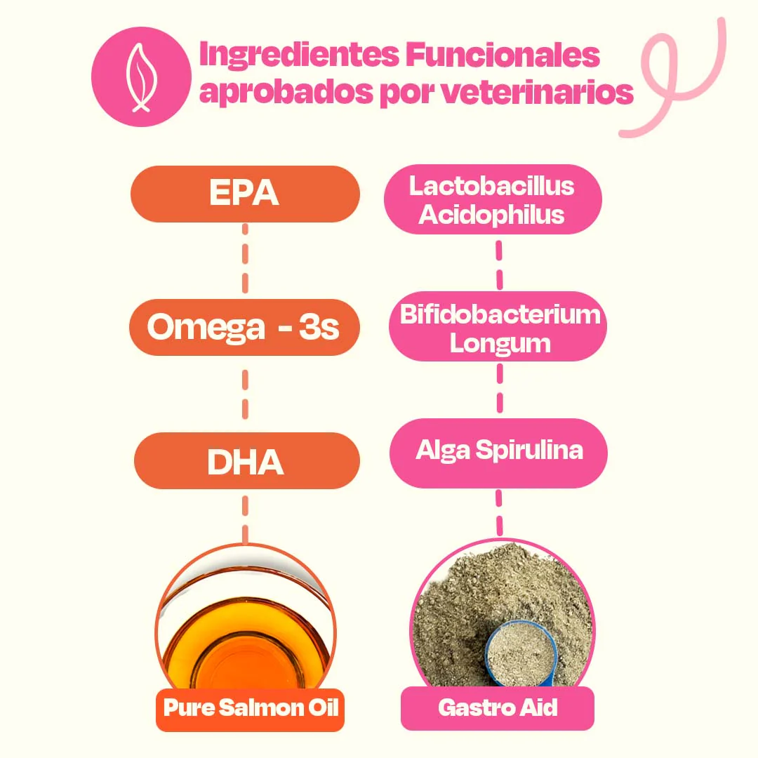 Kit de Gastro Aid +  Aceite de Salmón - Image 4