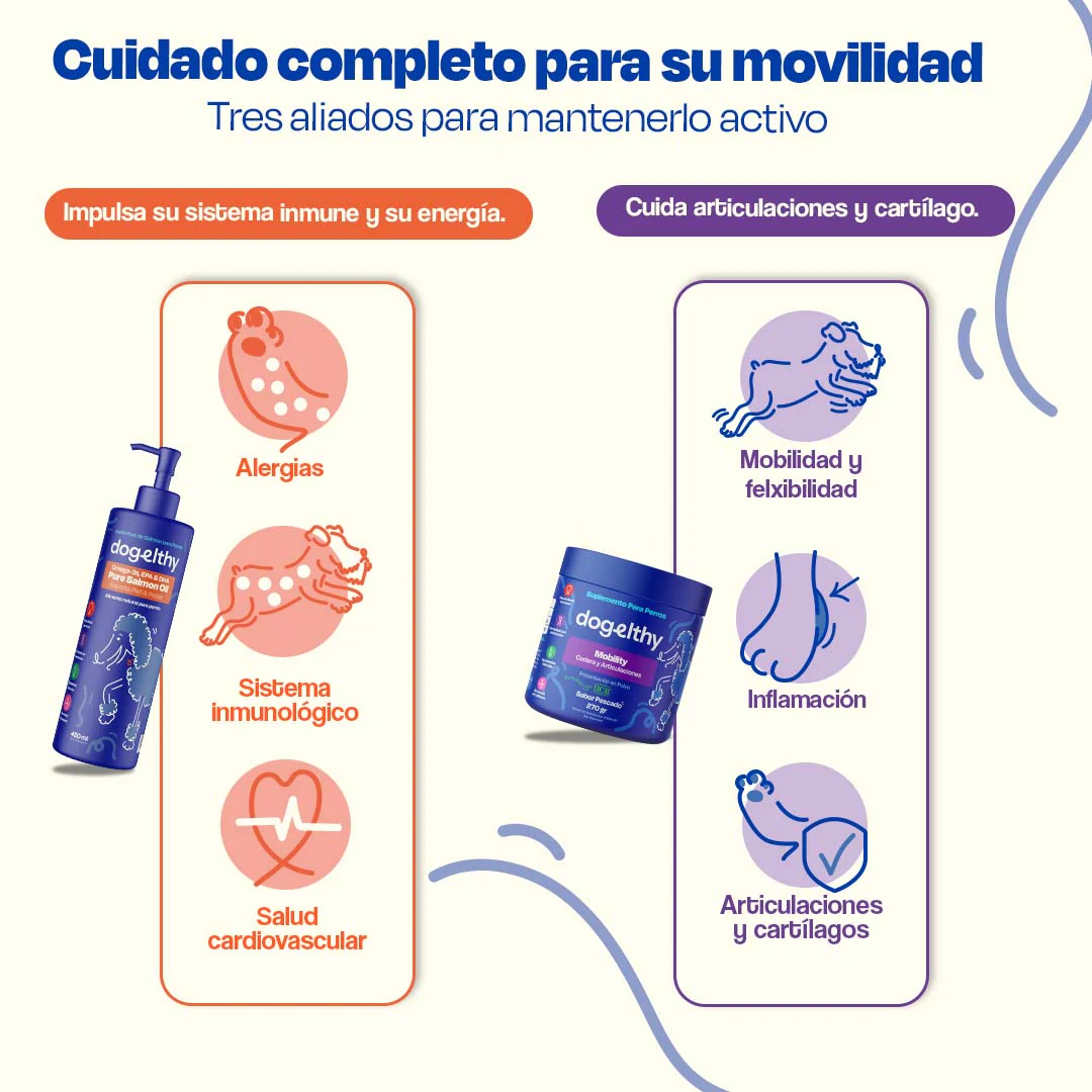 Kit de Mobility + Aceite de Salmón - Image 10