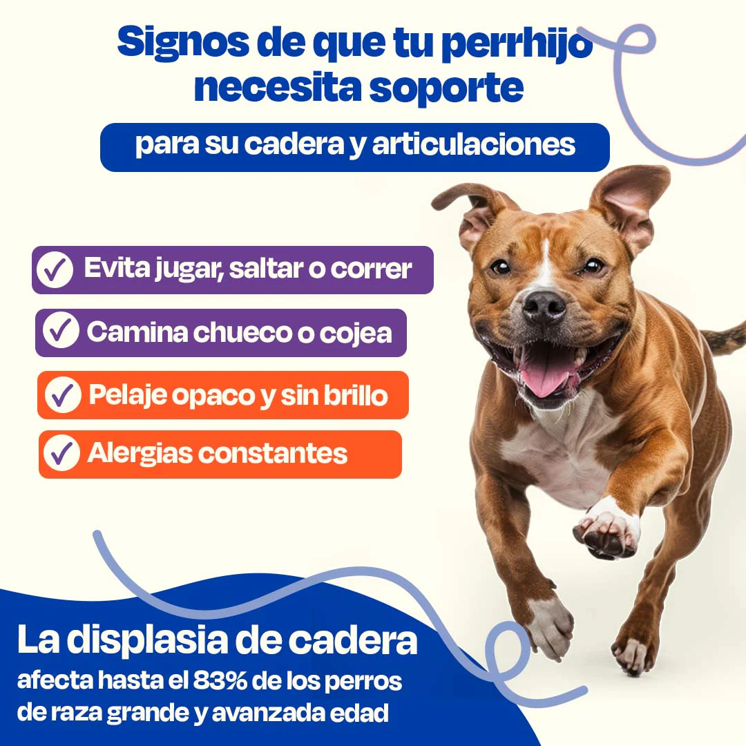 Kit de Mobility + Aceite de Salmón - Image 3