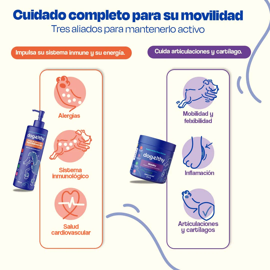 Kit de Mobility + Aceite de Salmón - Image 5