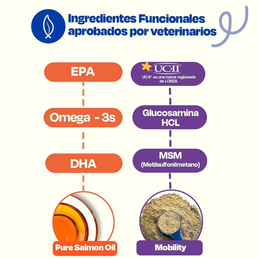 Kit de Mobility + Aceite de Salmón - Image 9