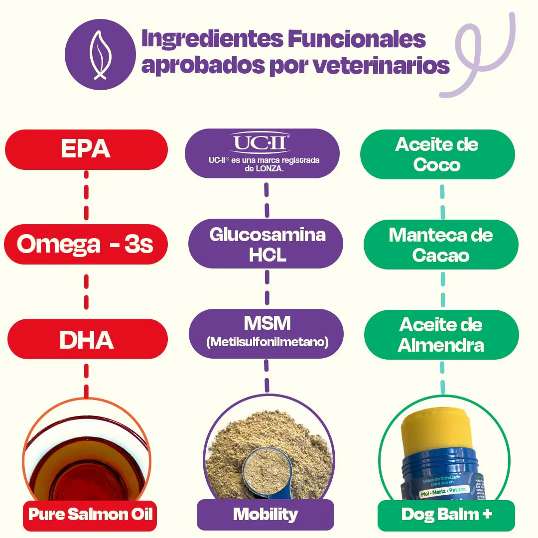 Kit para Articulaciones con Aceite de Sardina para Perros - Joint Support Kit - Image 12