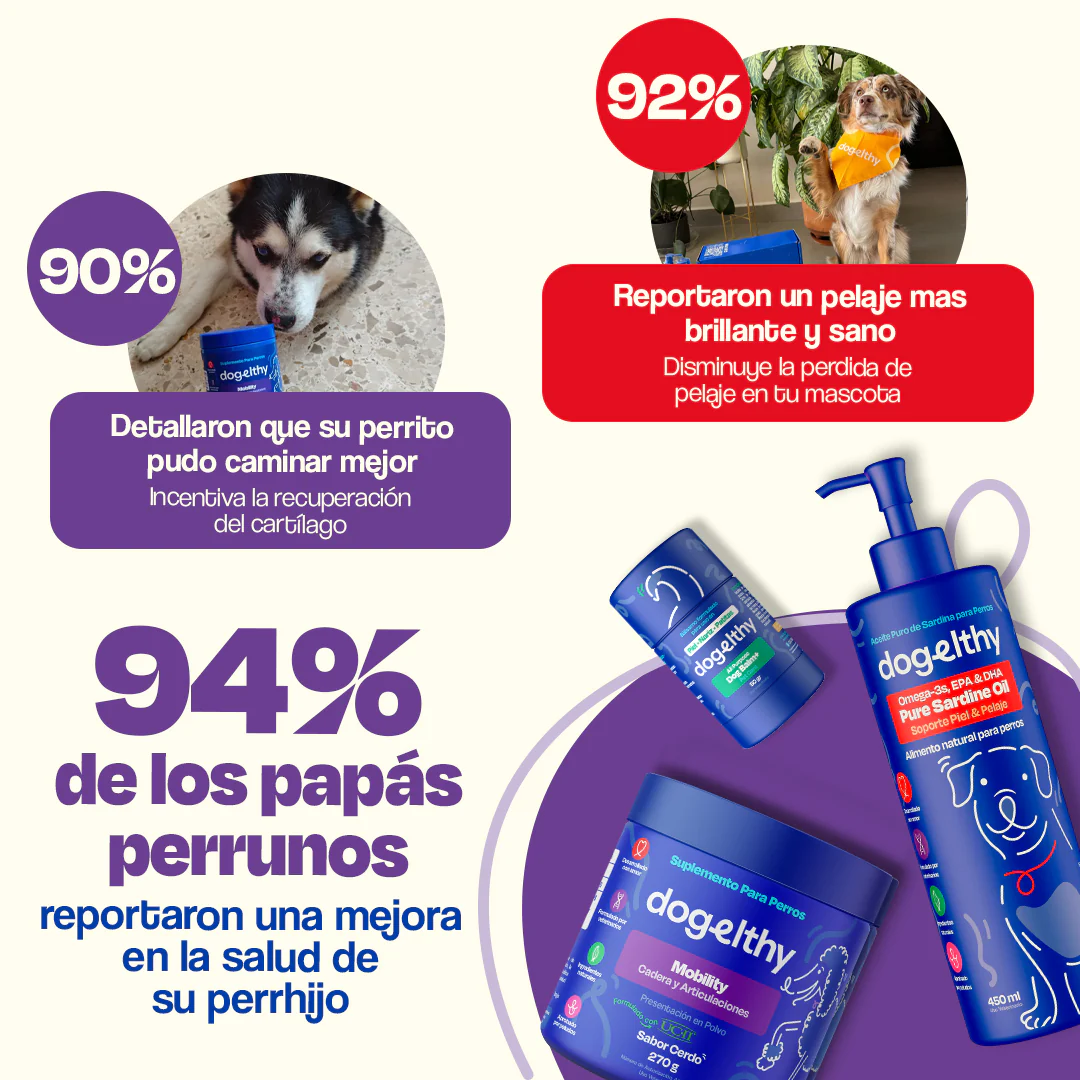 Kit para Articulaciones con Aceite de Sardina para Perros - Joint Support Kit - Image 13
