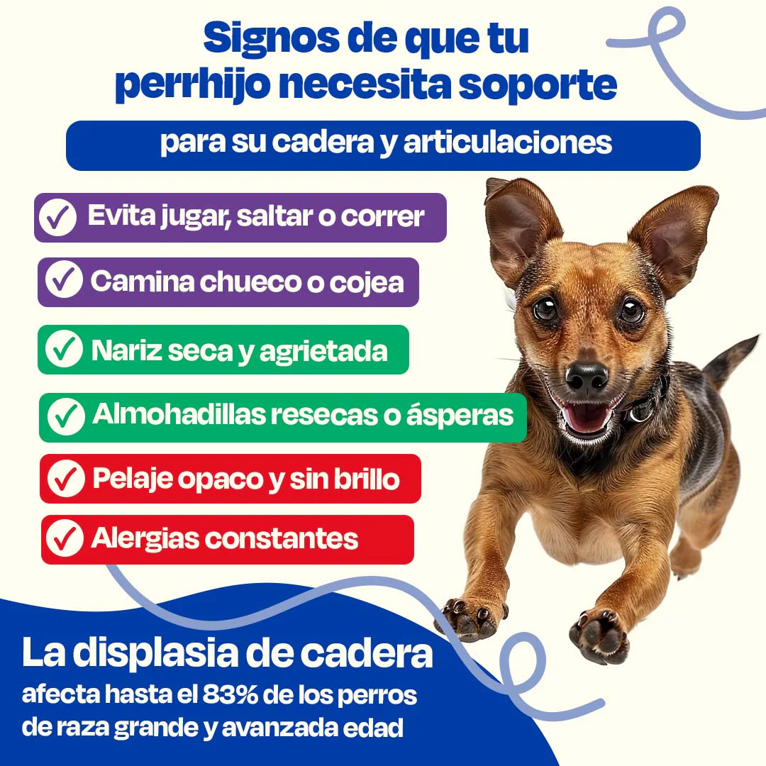 Kit para Articulaciones con Aceite de Sardina para Perros - Joint Support Kit - Image 3