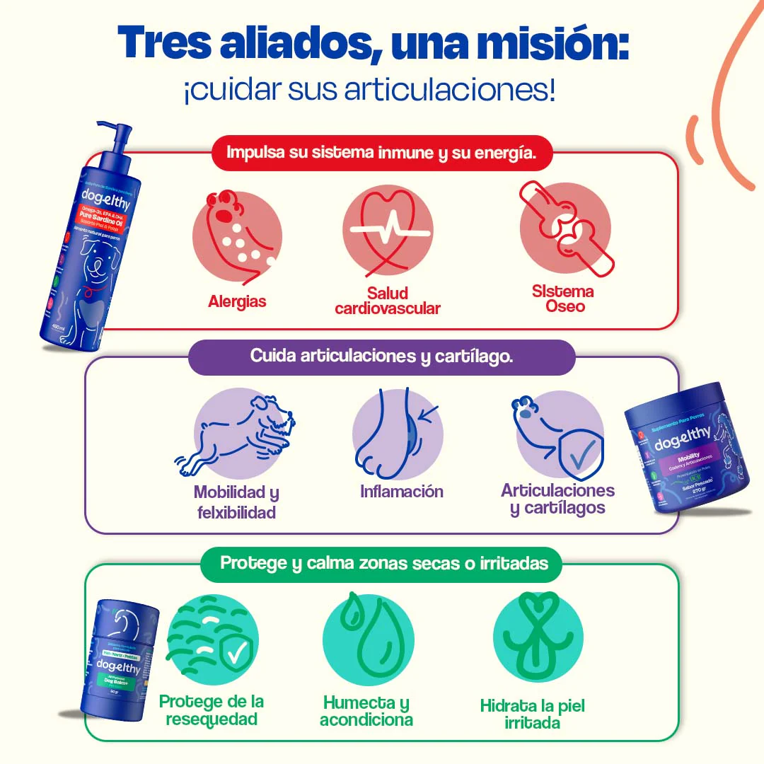 Kit para Articulaciones con Aceite de Sardina para Perros - Joint Support Kit - Image 4