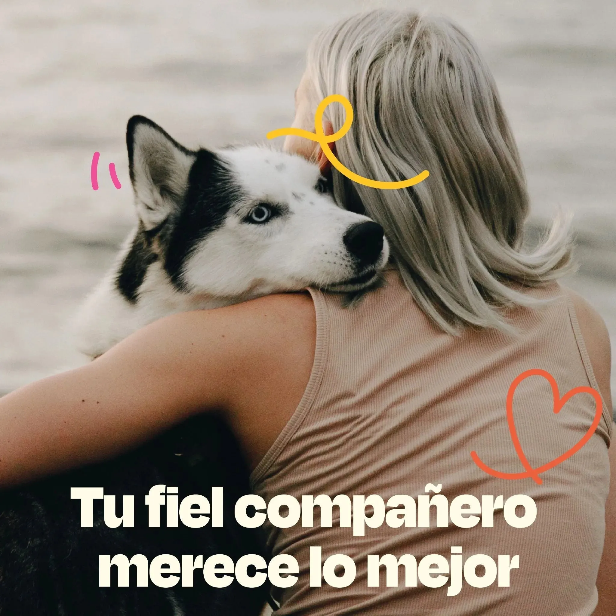 Kit Relajante para Perros - Serenity Kit - Image 16