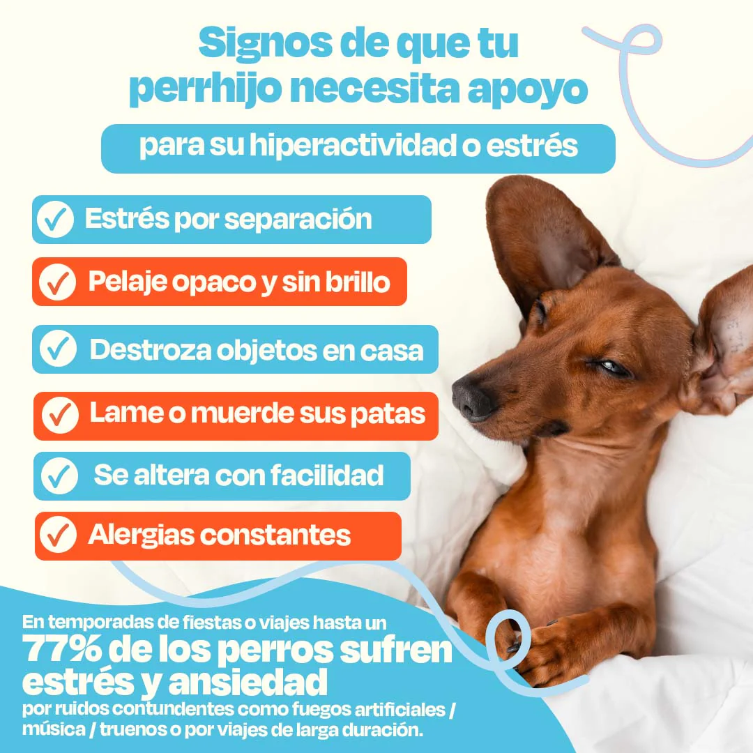 Kit Relajante para Perros - Serenity Kit - Image 3