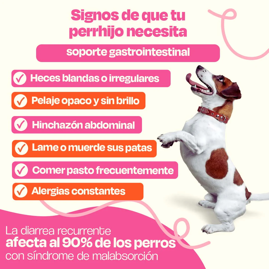 Kit Sistema Digestivo para Perros - Happy Belly Kit - Image 10