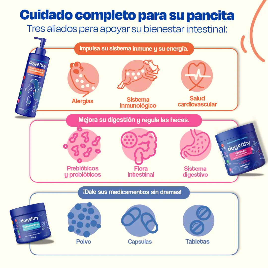 Kit Sistema Digestivo para Perros - Happy Belly Kit - Image 11