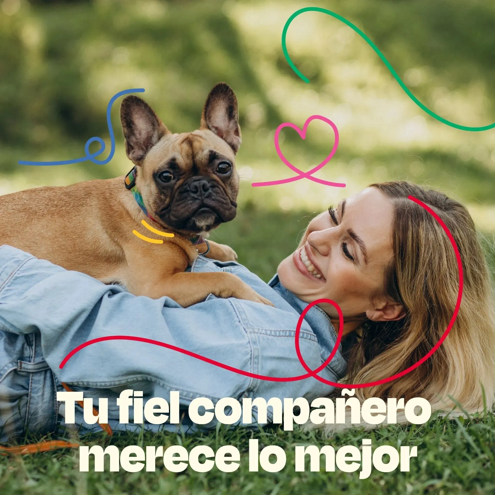 Kit Sistema Digestivo para Perros - Happy Belly Kit - Image 16