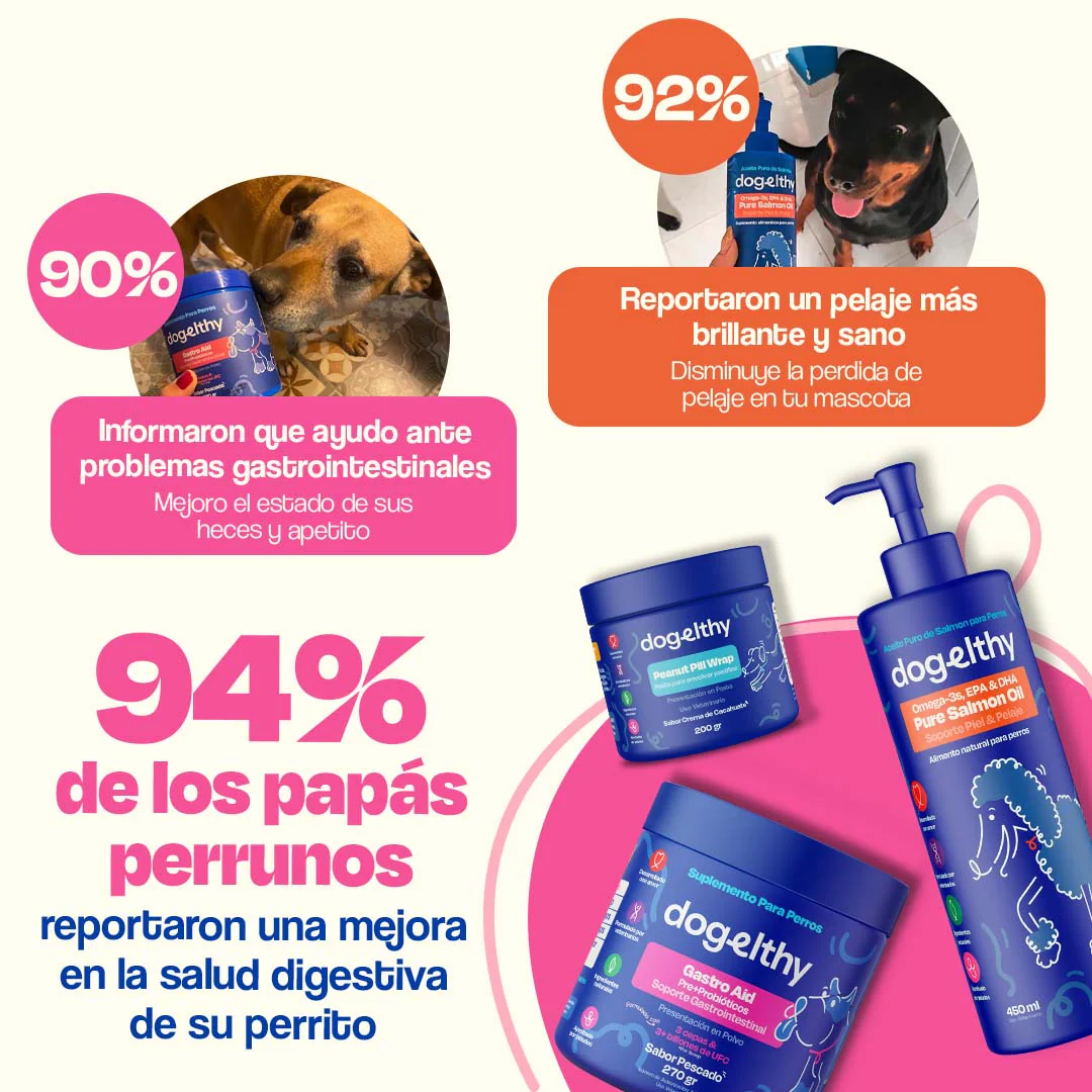 Kit Sistema Digestivo para Perros - Happy Belly Kit - Image 6