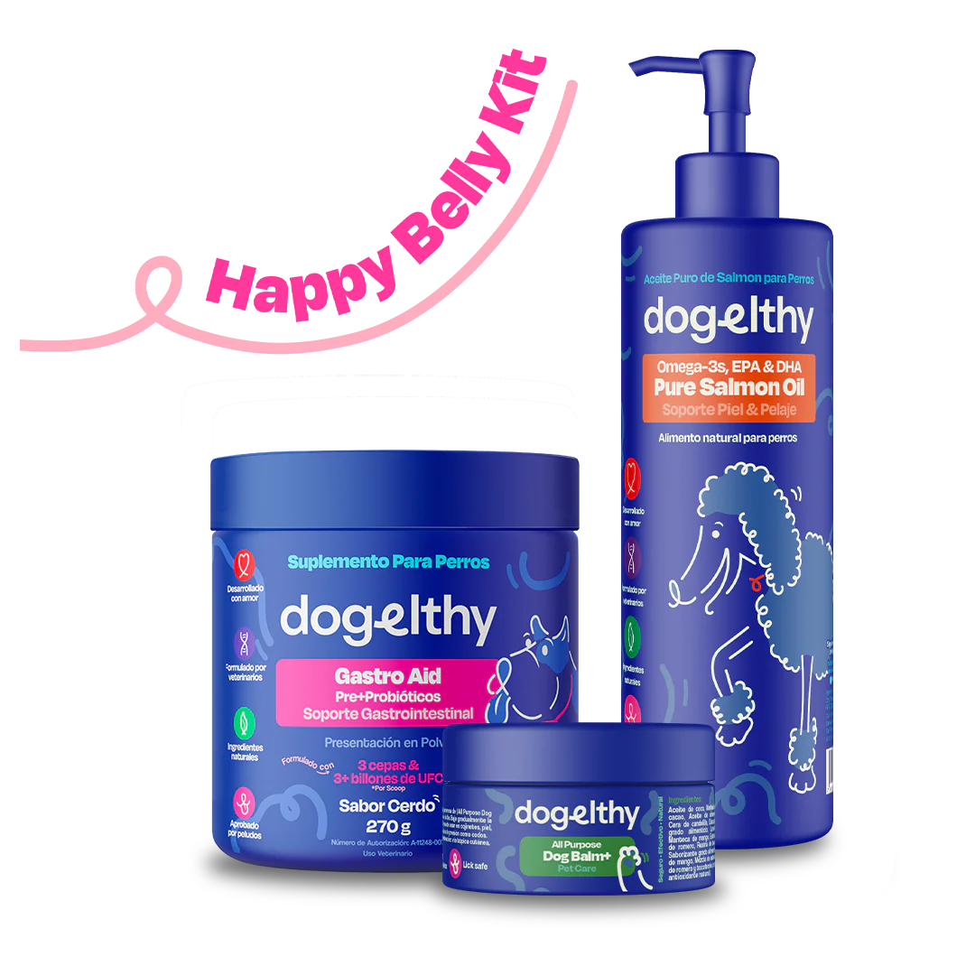 Kit Sistema Digestivo para Perros - Happy Belly Kit - Image 8