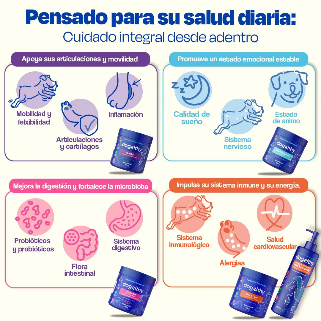 Kit Multivitaminico para Perro - Wellness Kit - Image 12