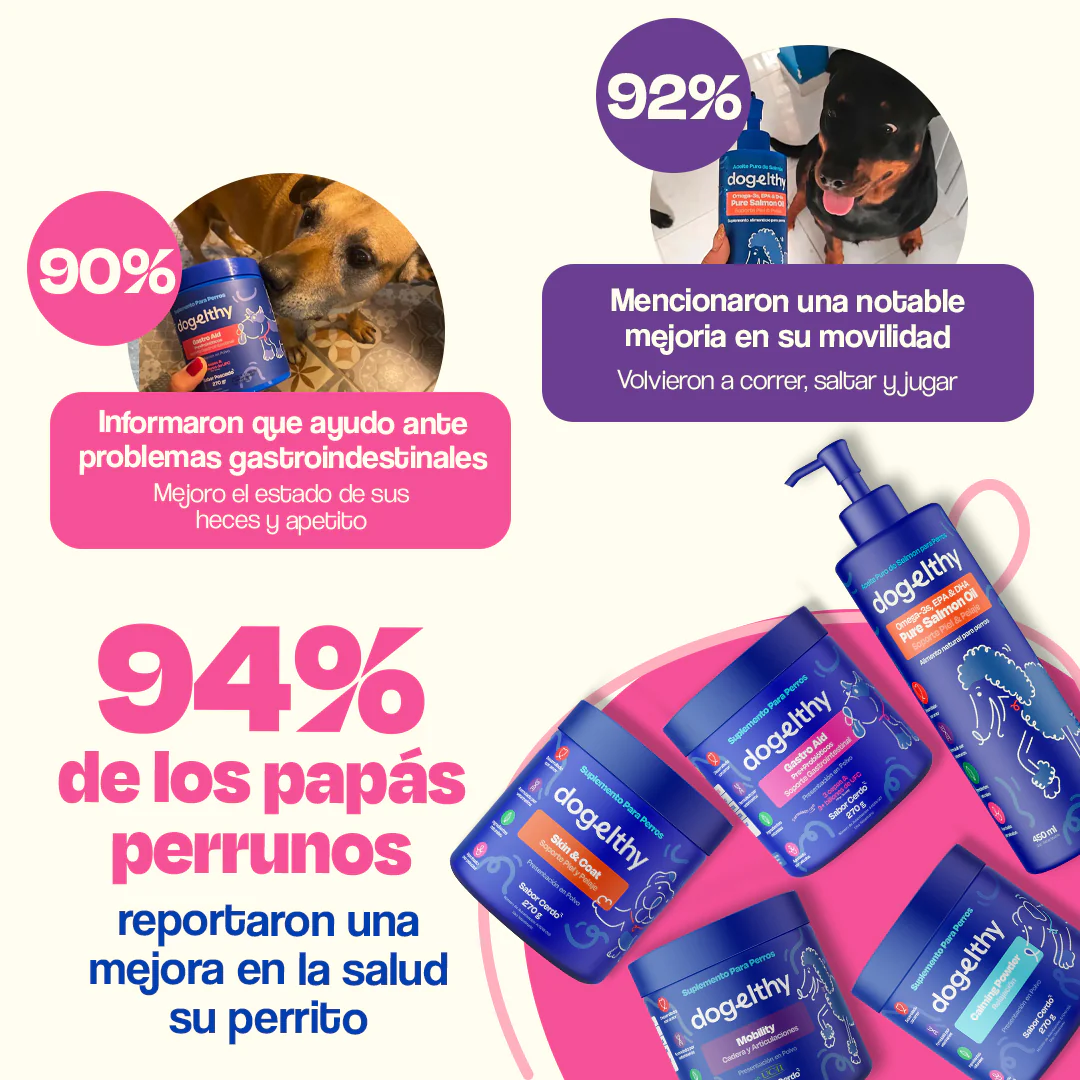 Kit Multivitaminico para Perro - Wellness Kit - Image 13