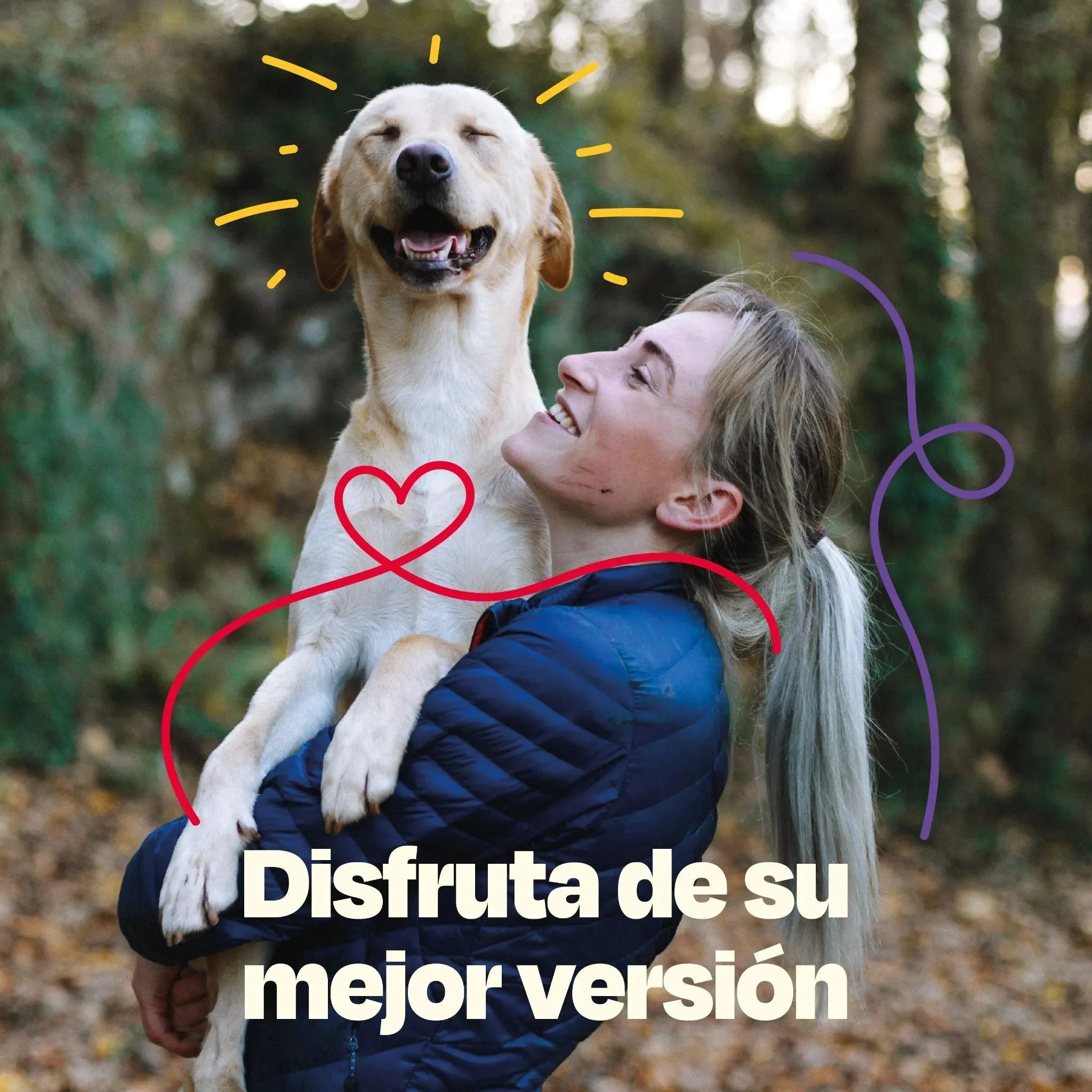 Kit Multivitaminico para Perro - Wellness Kit - Image 16