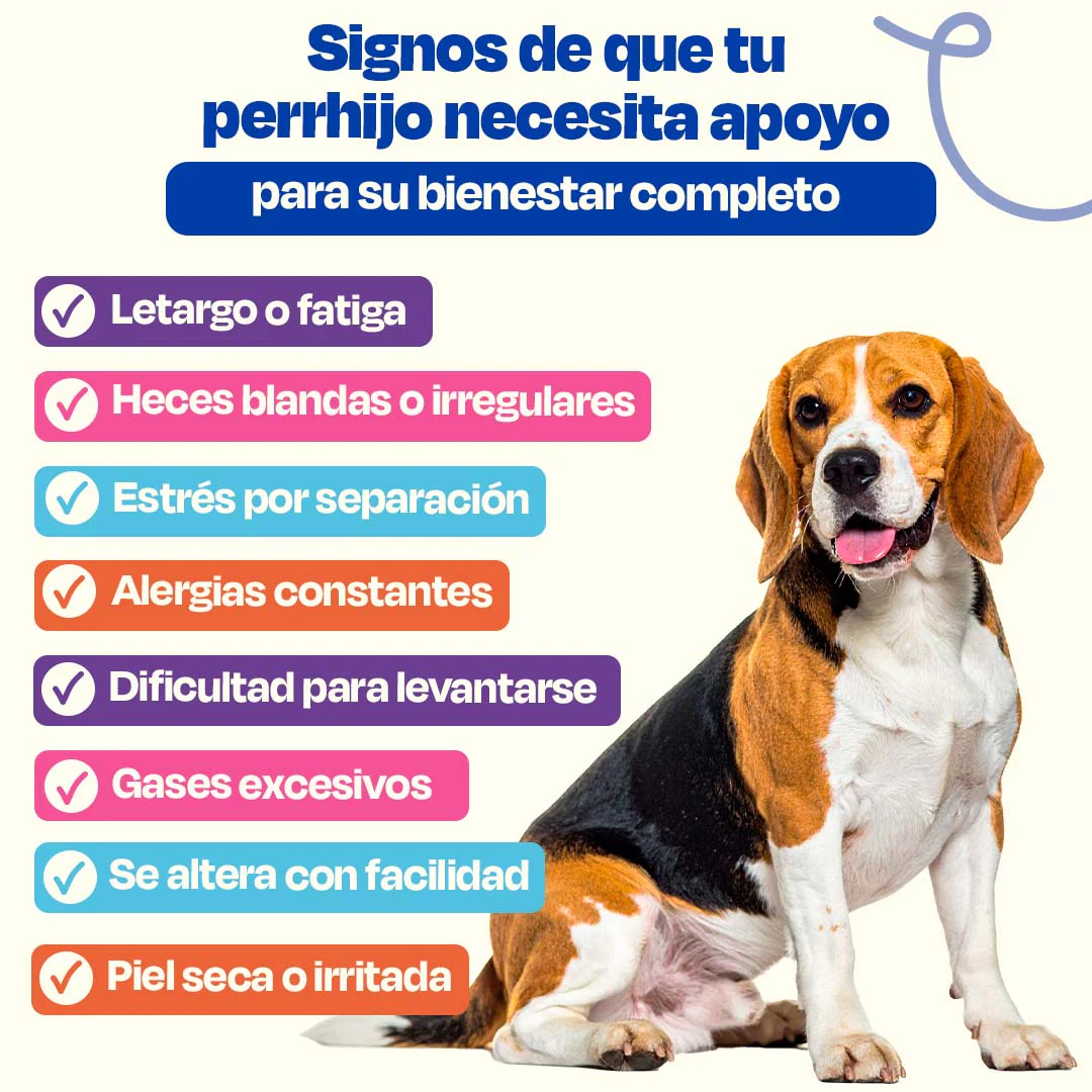 Kit Multivitaminico para Perro - Wellness Kit - Image 3