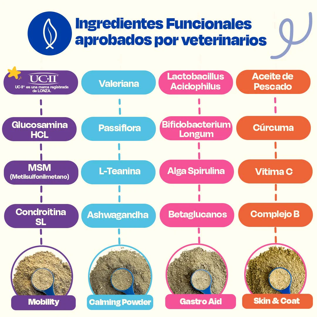 Kit Multivitaminico para Perro - Wellness Kit - Image 4