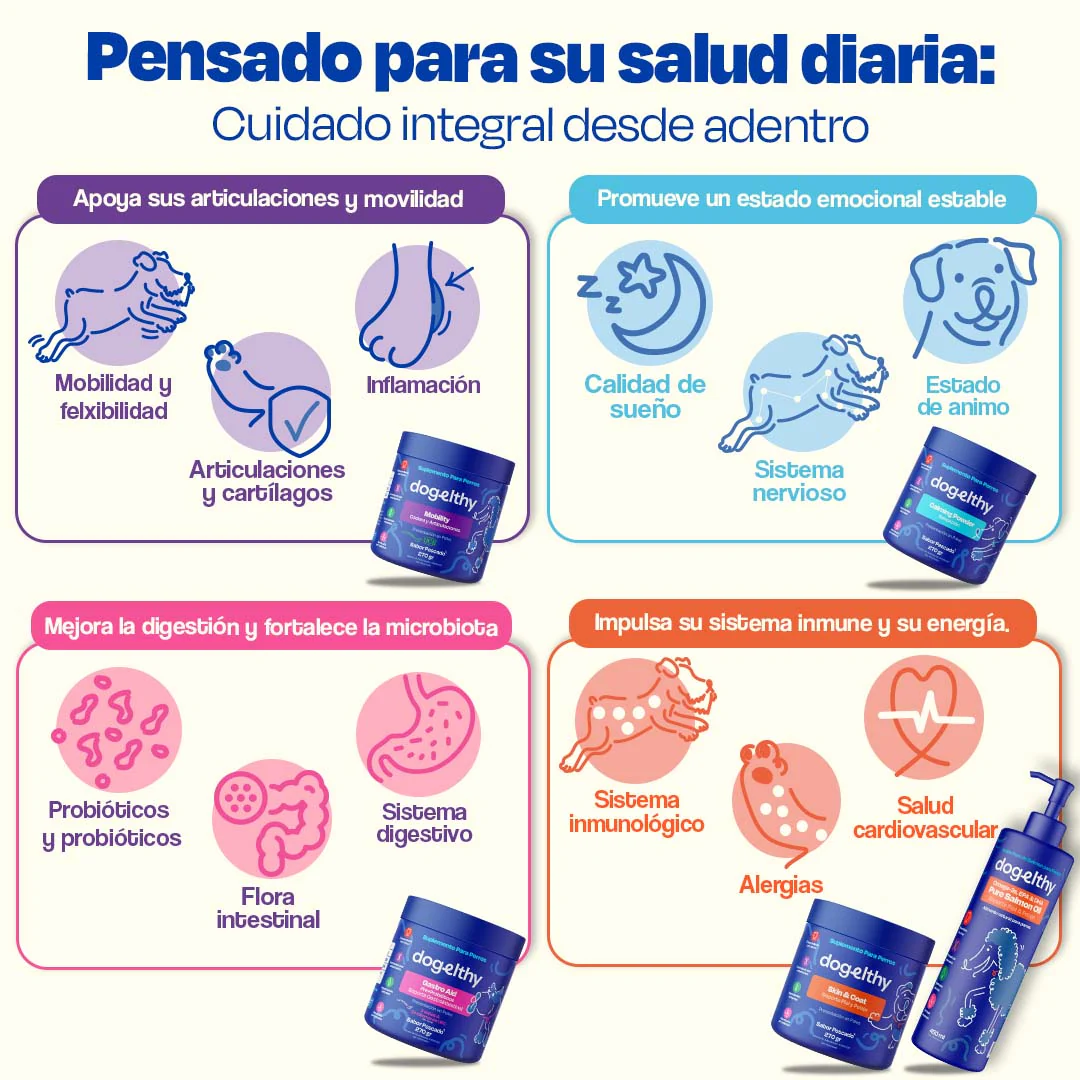 Kit Multivitaminico para Perro - Wellness Kit - Image 5