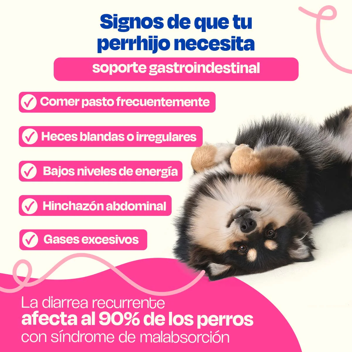 Probióticos para Perros - Gastro Aid - Image 11