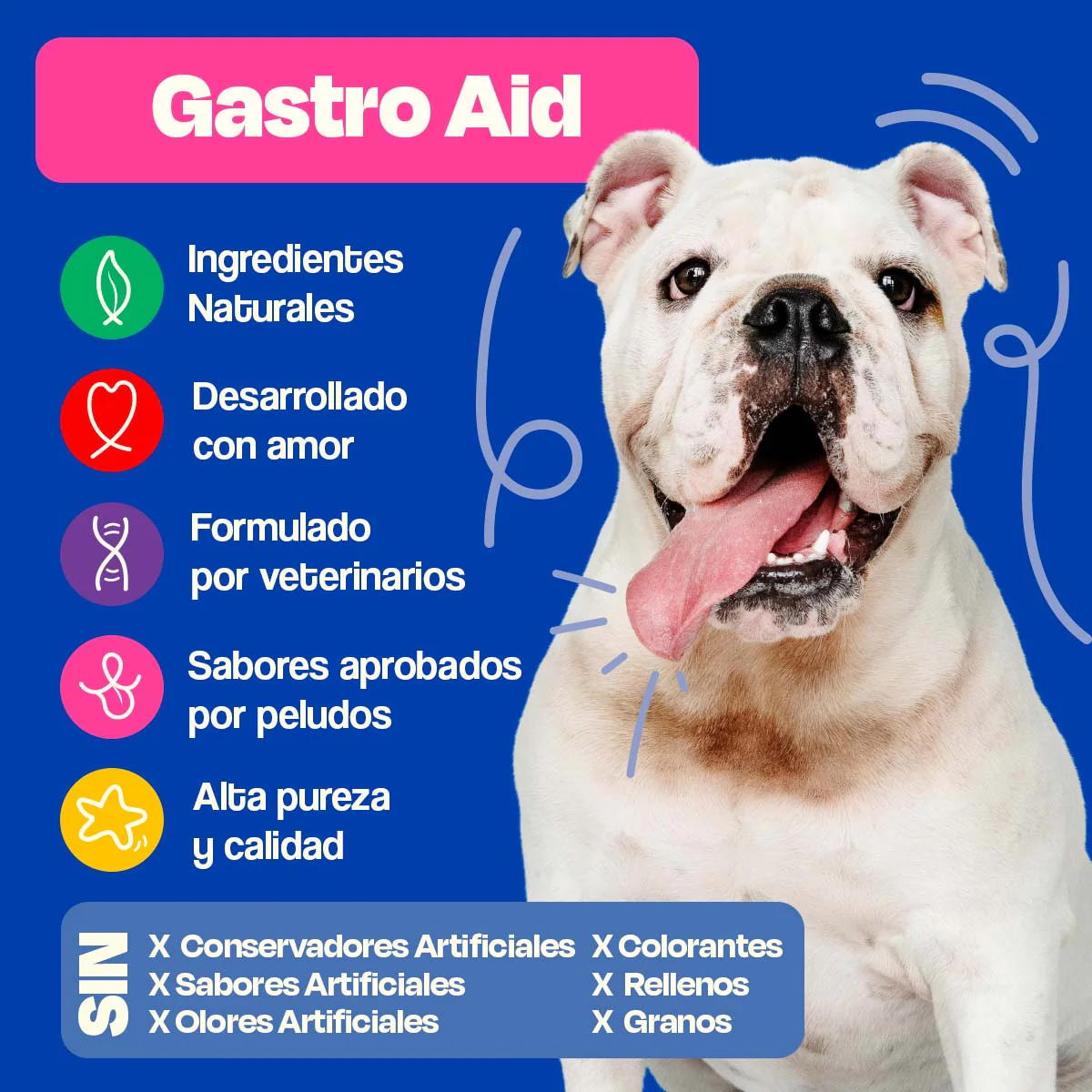 Probióticos para Perros - Gastro Aid - Image 19