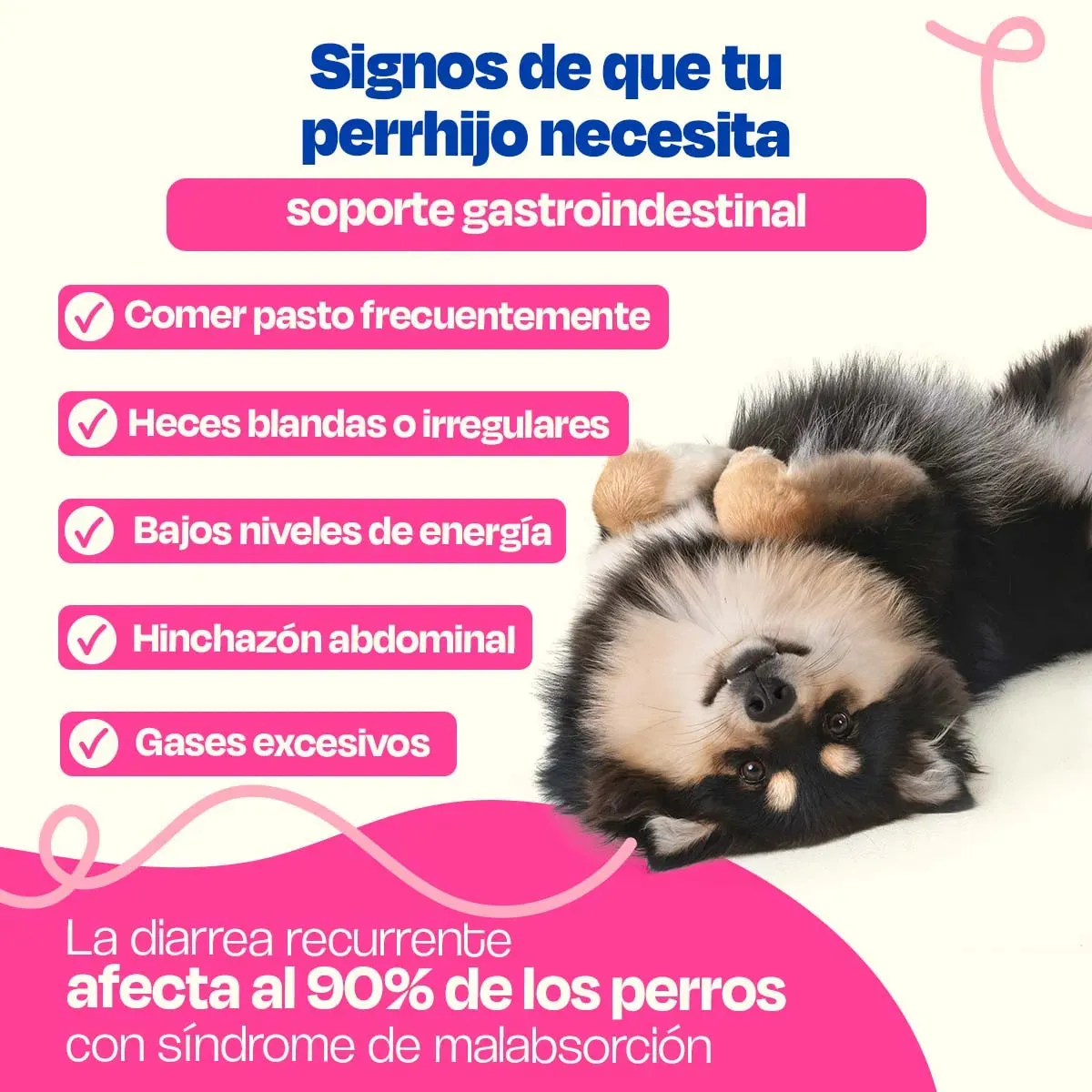 Probióticos para Perros - Gastro Aid - Image 3