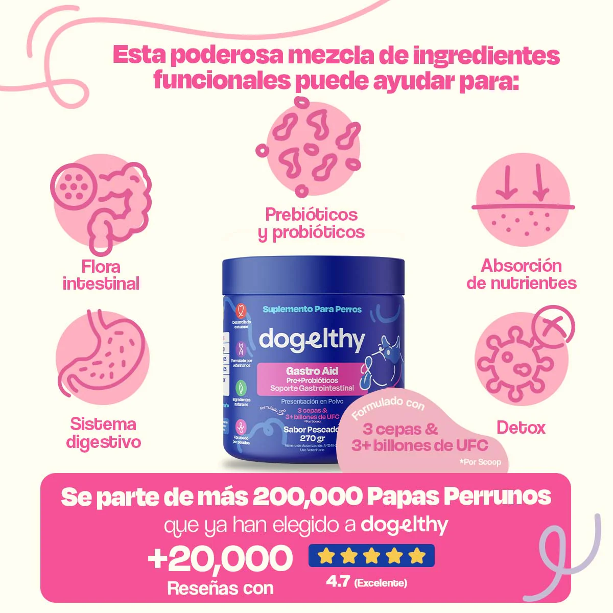 Probióticos para Perros - Gastro Aid - Image 6