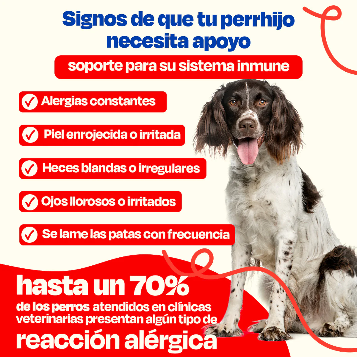 Suplemento para Alergias De Perro - Allergy Blend - Image 3