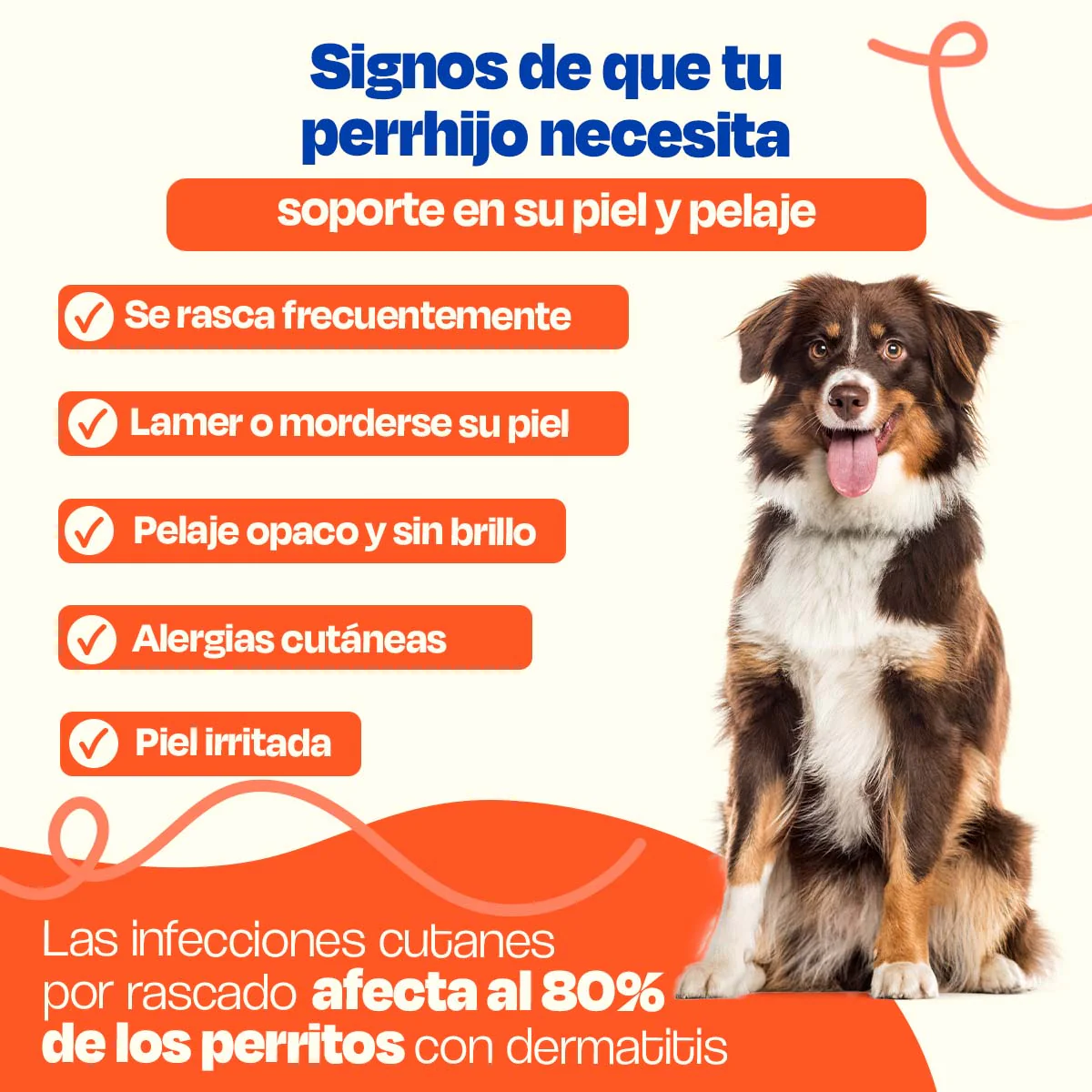 Suplemento para Pelaje y Piel de Perro - Skin and Coat - Image 11