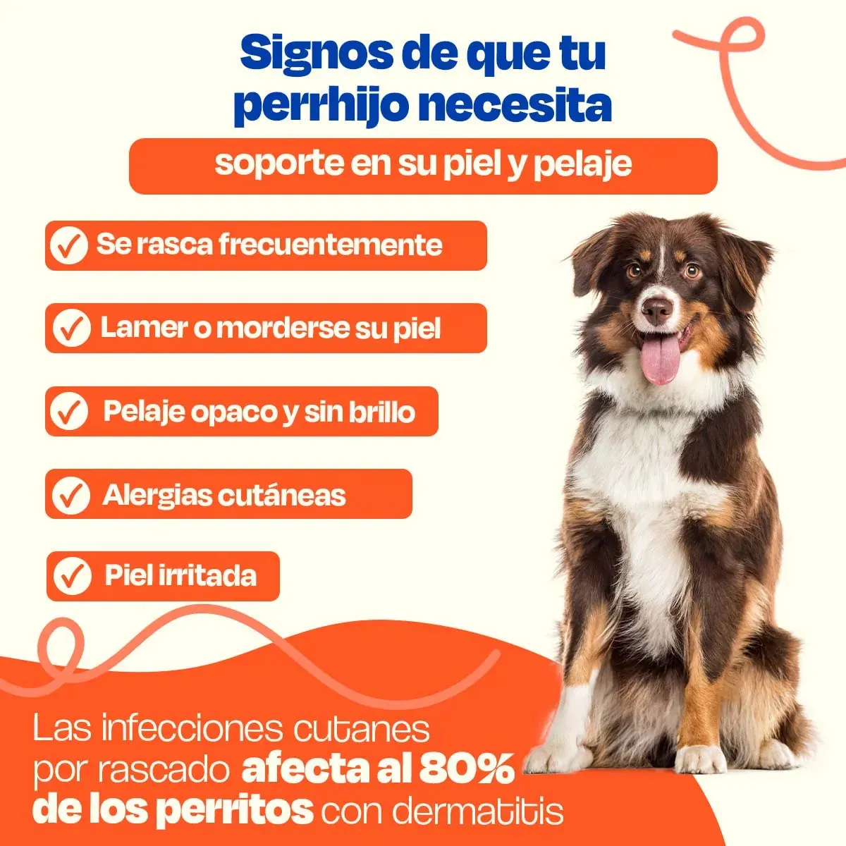 Suplemento para Pelaje y Piel de Perro - Skin and Coat - Image 3