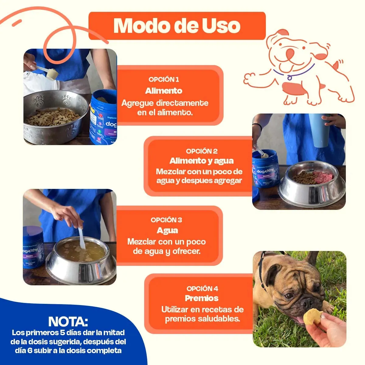 Suplemento para Pelaje y Piel de Perro - Skin and Coat - Image 9